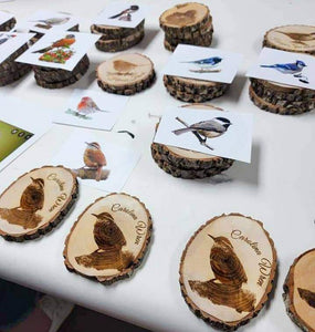Carolina Songbird Ornaments!