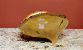Ambrosia Maple Wood bowl #2044