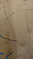 Lake Robinson, South Carolina - Laser Cut Wood Map