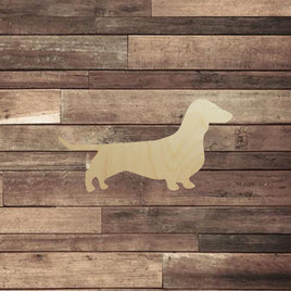 Dachshund