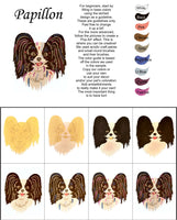 Papillon-DIY Pop Art Paint Kit