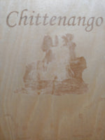 Chittenango Falls State Park- Laser Cut Wood Map